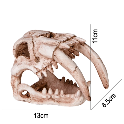 Terrario Sabertooth Skull - czaszka tygrysa do terrarium 13x8,5x11 cm