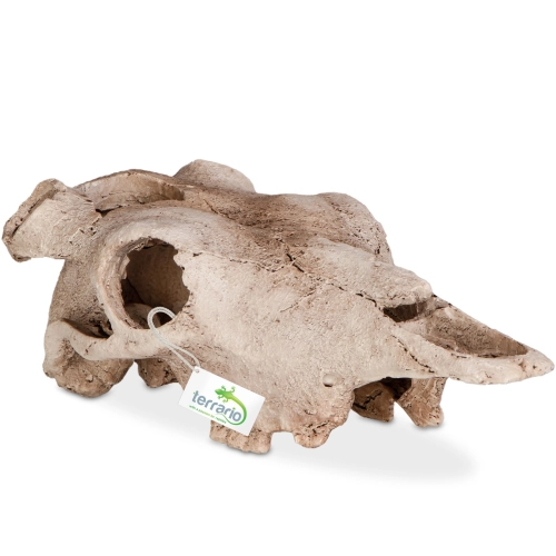 Terrario Buffalo Skull - czaszka bizona do terrarium 21x12x8 cm