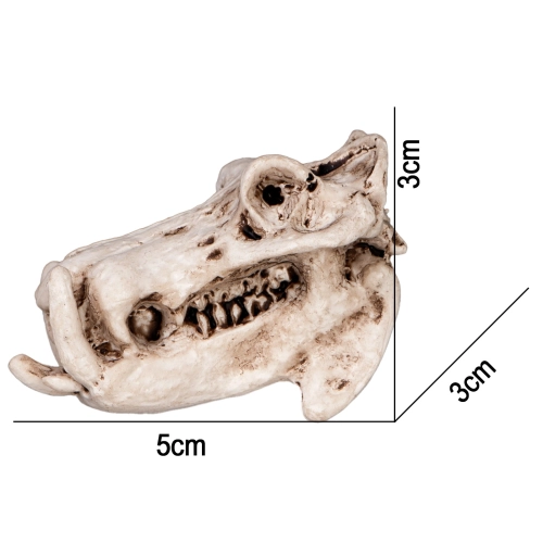 Terrario Hippo Skull - czaszka hipopotama do terrarium 5x3x3 cm