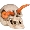 Terrario Human Skull XL - czaszka ludzka do terrarium 15x10x9 cm
