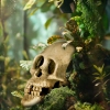 Terrario Human Skull XL - czaszka ludzka do terrarium 15x10x9 cm