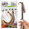 ProBugs Eco-Fresh Scolopendra Centipede 15 x 2pcs - świeże skolopendry 15 saszetek