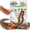ProBugs Eco-Fresh Scolopendra Centipede 15 x 2pcs - świeże skolopendry 15 saszetek