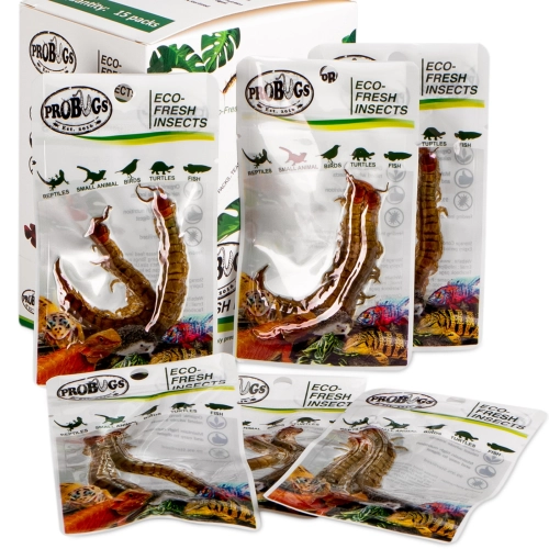 ProBugs Eco-Fresh Scolopendra Centipede 15 x 2pcs - świeże skolopendry 15 saszetek