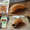 ProBugs Eco-Fresh Scolopendra Centipede 15 x 2pcs - świeże skolopendry 15 saszetek