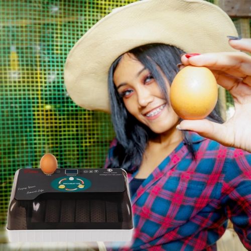 Kruger Meier ProNestix - inkubator z termostatem i LED na 12 jaj