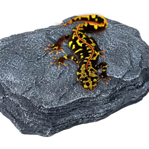 Repti-Zoo Dimmer Heat Rock 12W - kamień grzewczy z regulacją temperatury