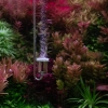 Neo Diffuser Original S CO2 + Clip White – dyfuzor CO2 + kolanko do akwarium 12mm